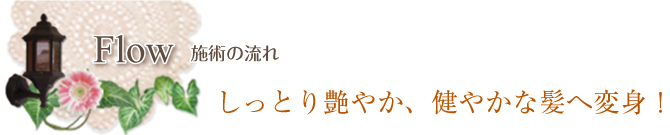 施術の流れ　しっとり艶やか、健やかな髪へ変身！